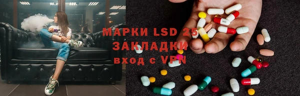 спиды Аркадак