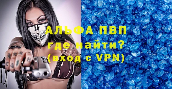 спиды Аркадак