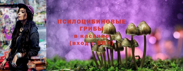 PSILOCYBIN Арсеньев