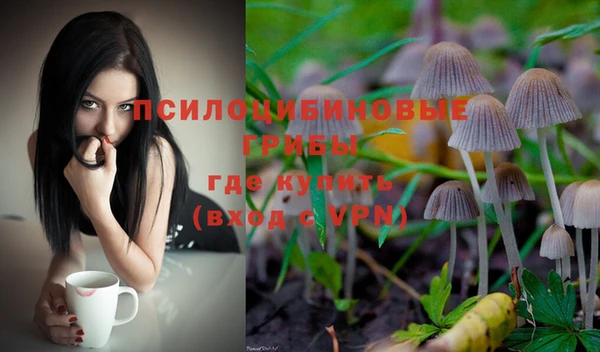 a pvp Мегион